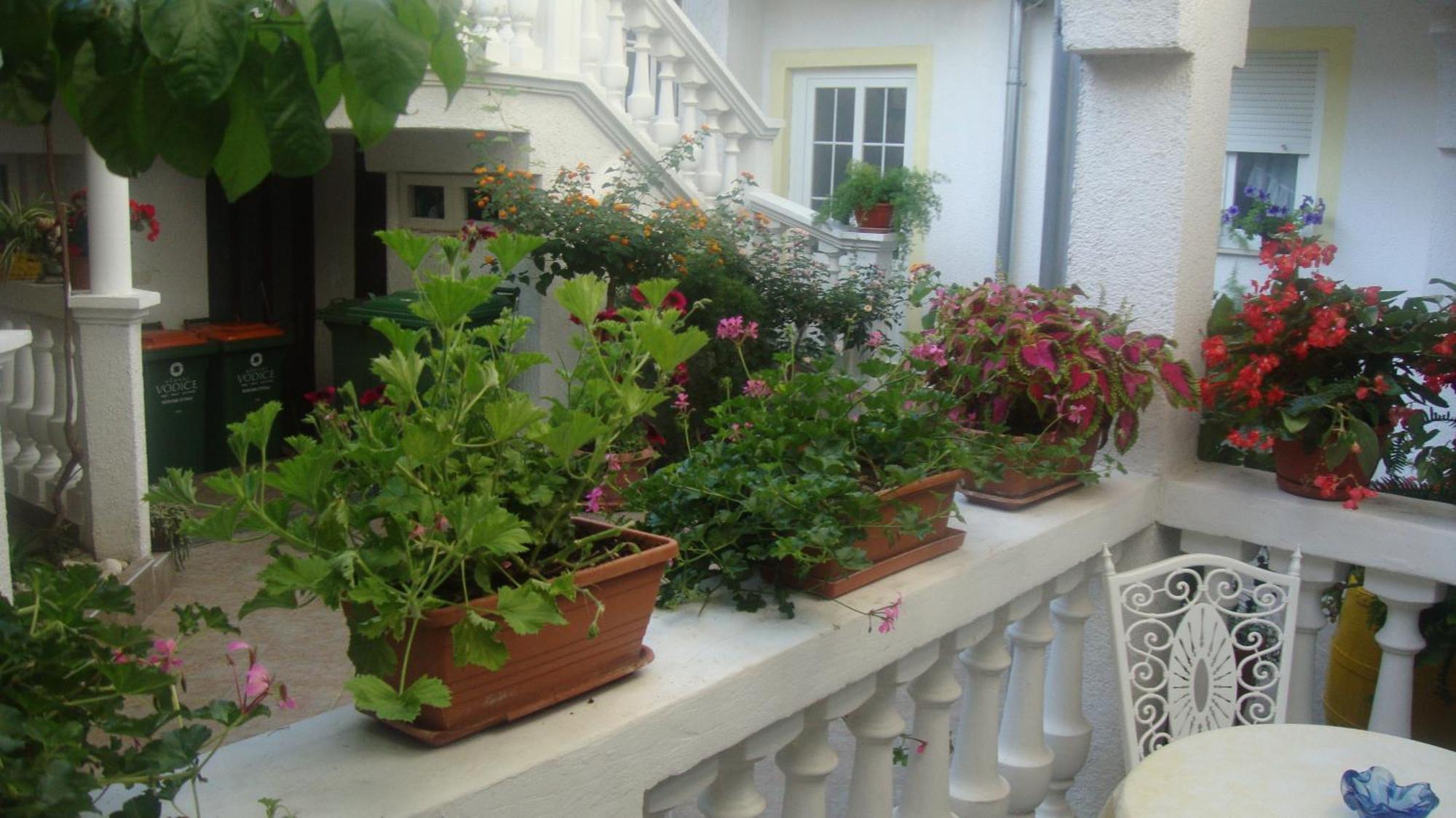 Marica Apartment